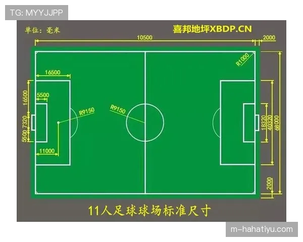 球场尺寸规则详解：标准范围及裁判验收关键要求