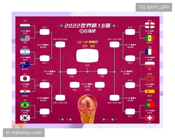2026世界杯48队12组赛制规则详解