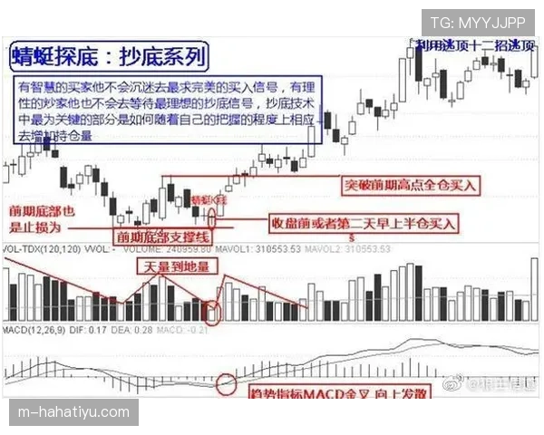 莱奥防守参与度解析：回防积极性不足与战术纪律缺失的根源